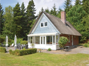 Three-Bedroom Holiday home with a Fireplace in Blåvand